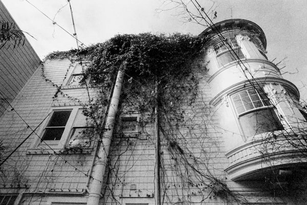 An overgrown passionfruit vine on the side of an Edwardian house in San Francisco