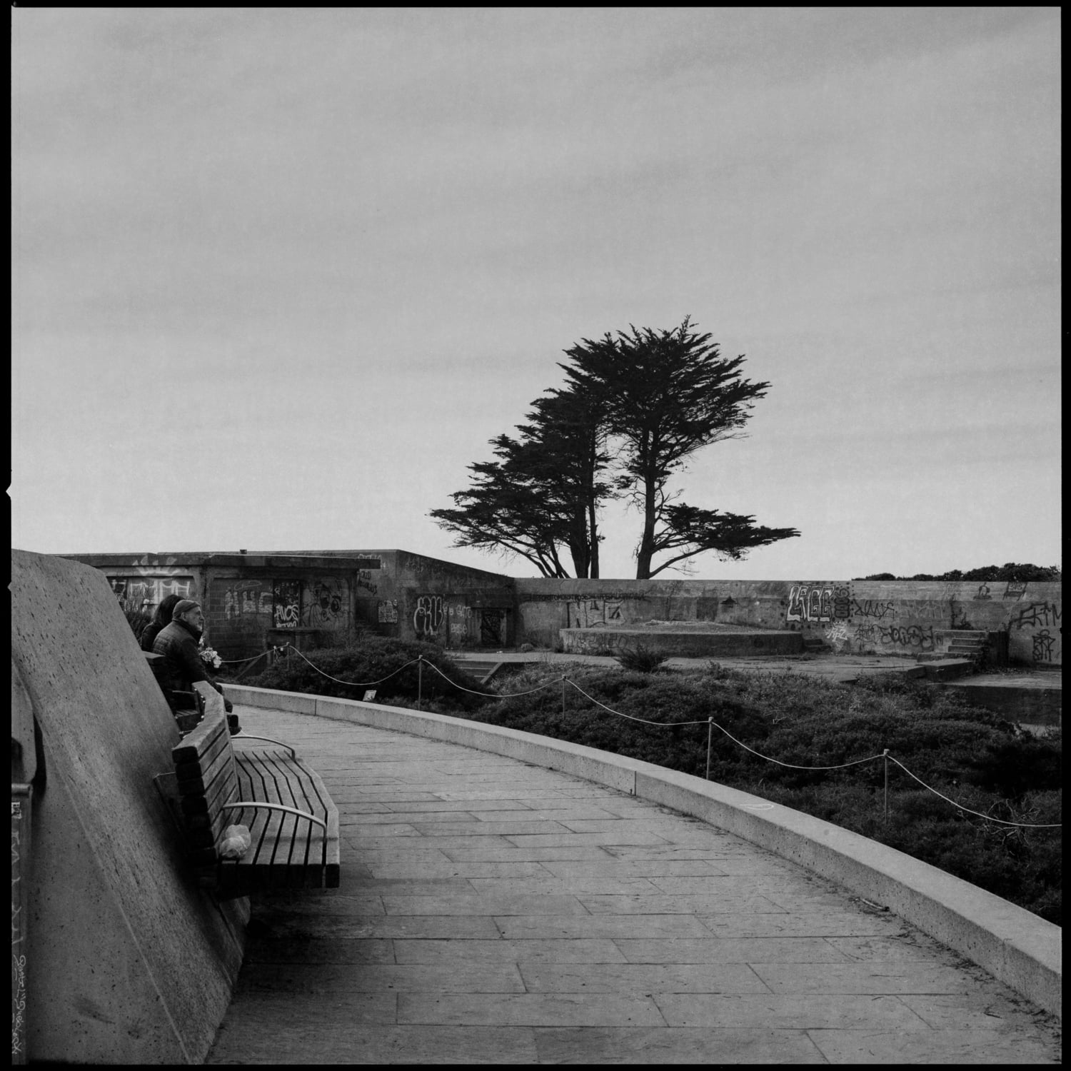 People having lunch outside near the beach