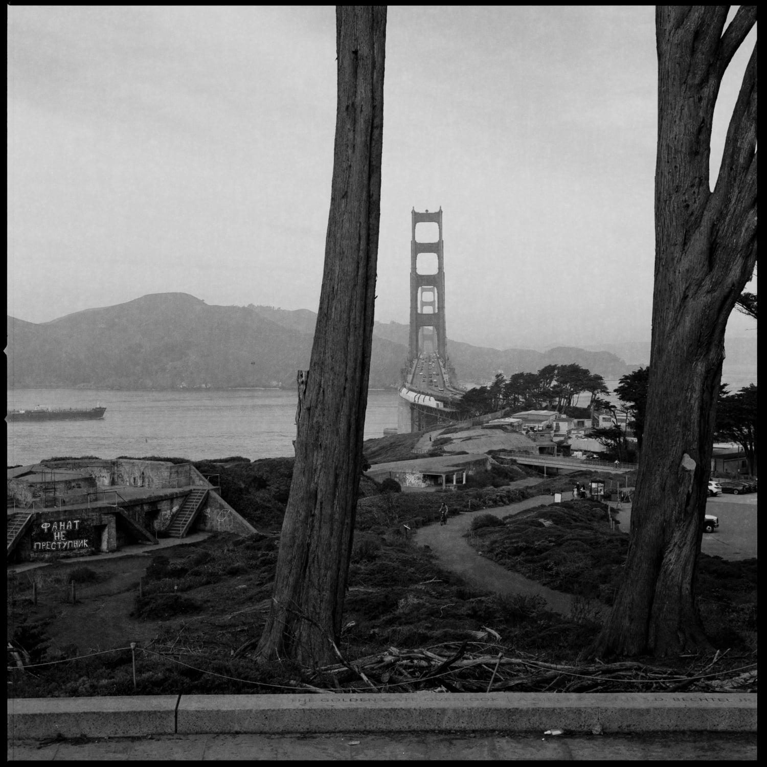 The Golden Gate Bridge from the Presidio