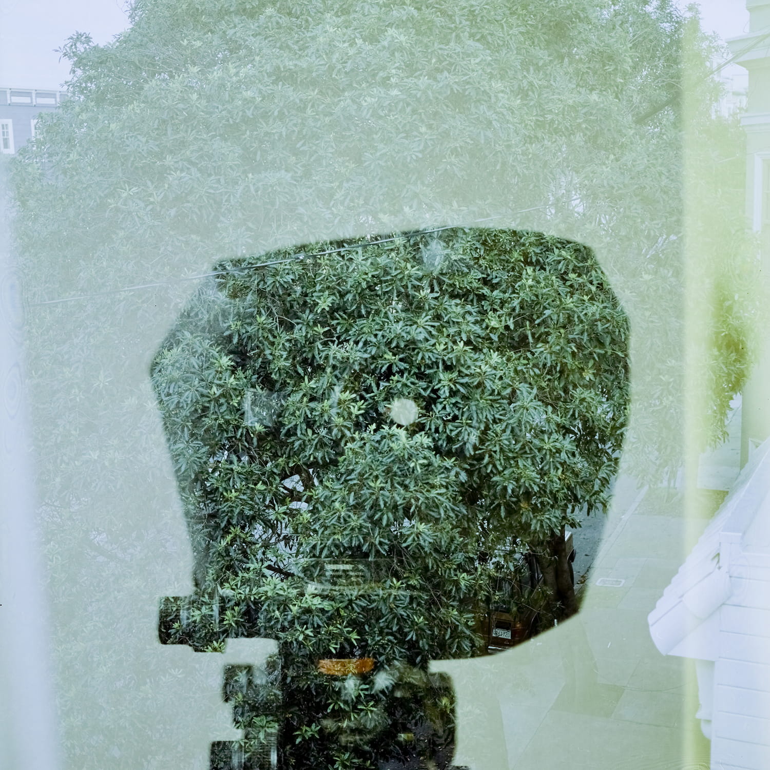 A double exposure of a tree and a camera.