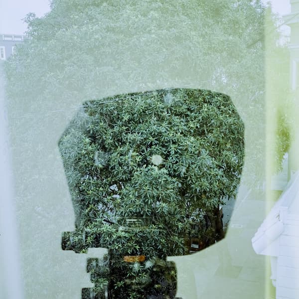 A double exposure of a tree and a camera